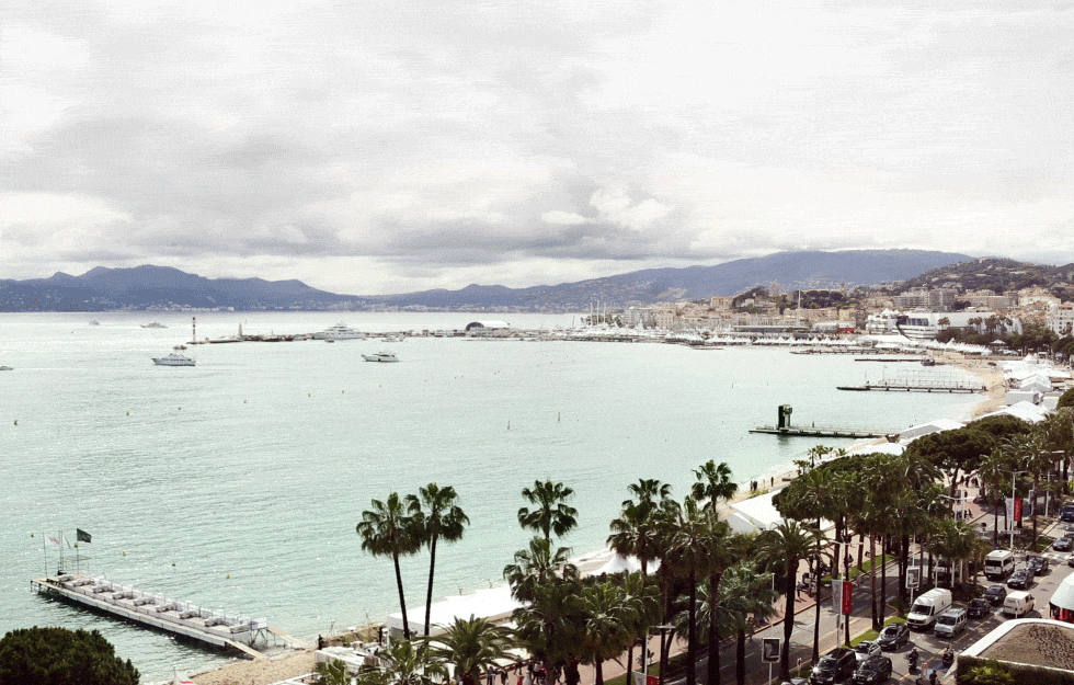 Cannes Film Festival (58)