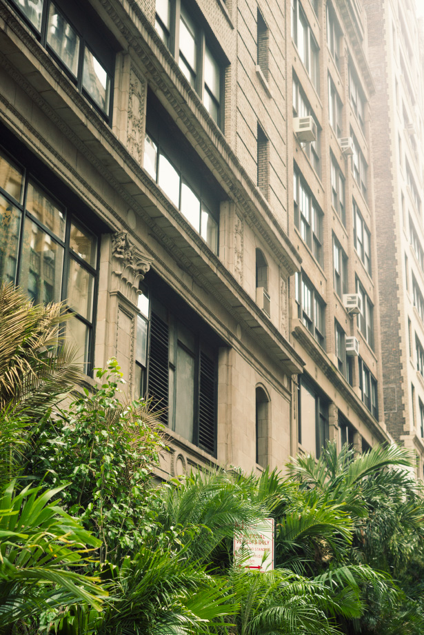 Photographer Jamie Beck visits Manhattan's flower district to purchase plants for her new Upper West Side terrace...