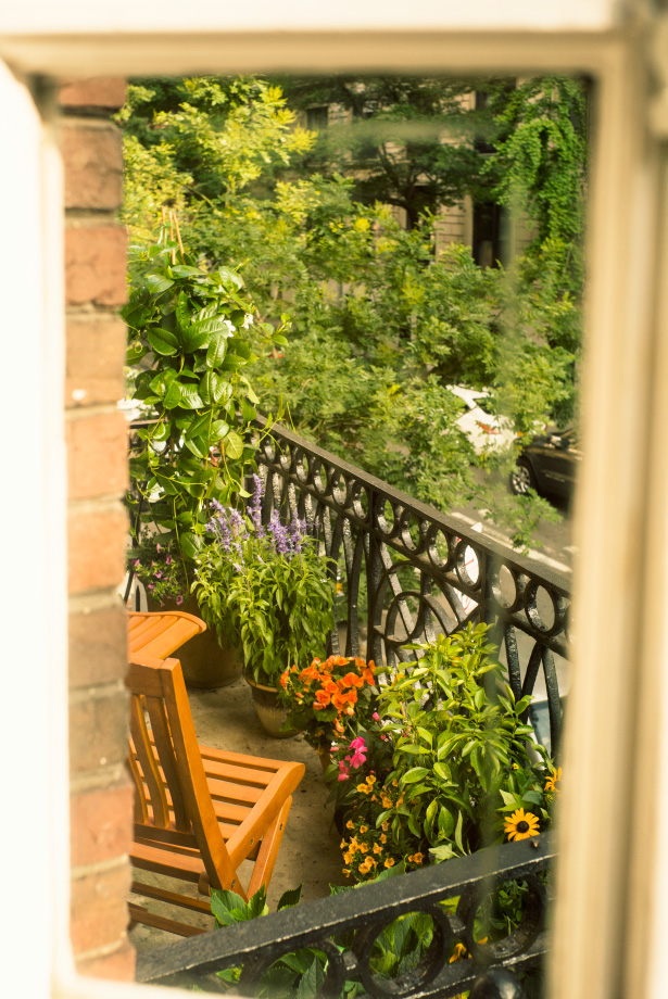 Photographer Jamie Beck visits Manhattan's flower district to purchase plants for her new Upper West Side terrace...