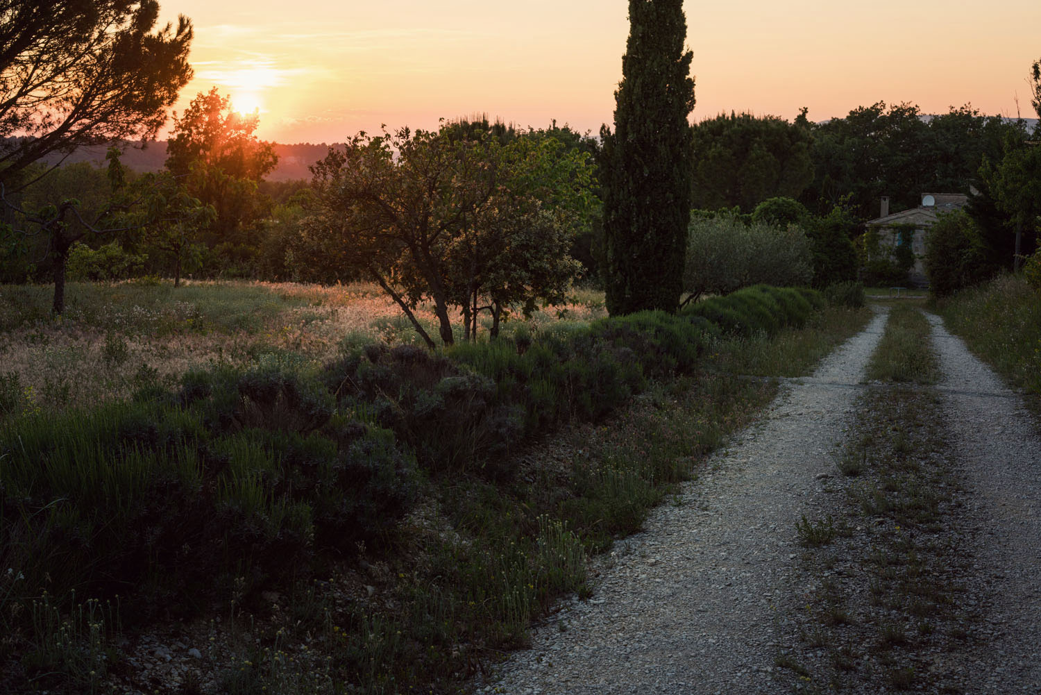 Snapshots from Provence in the South of France