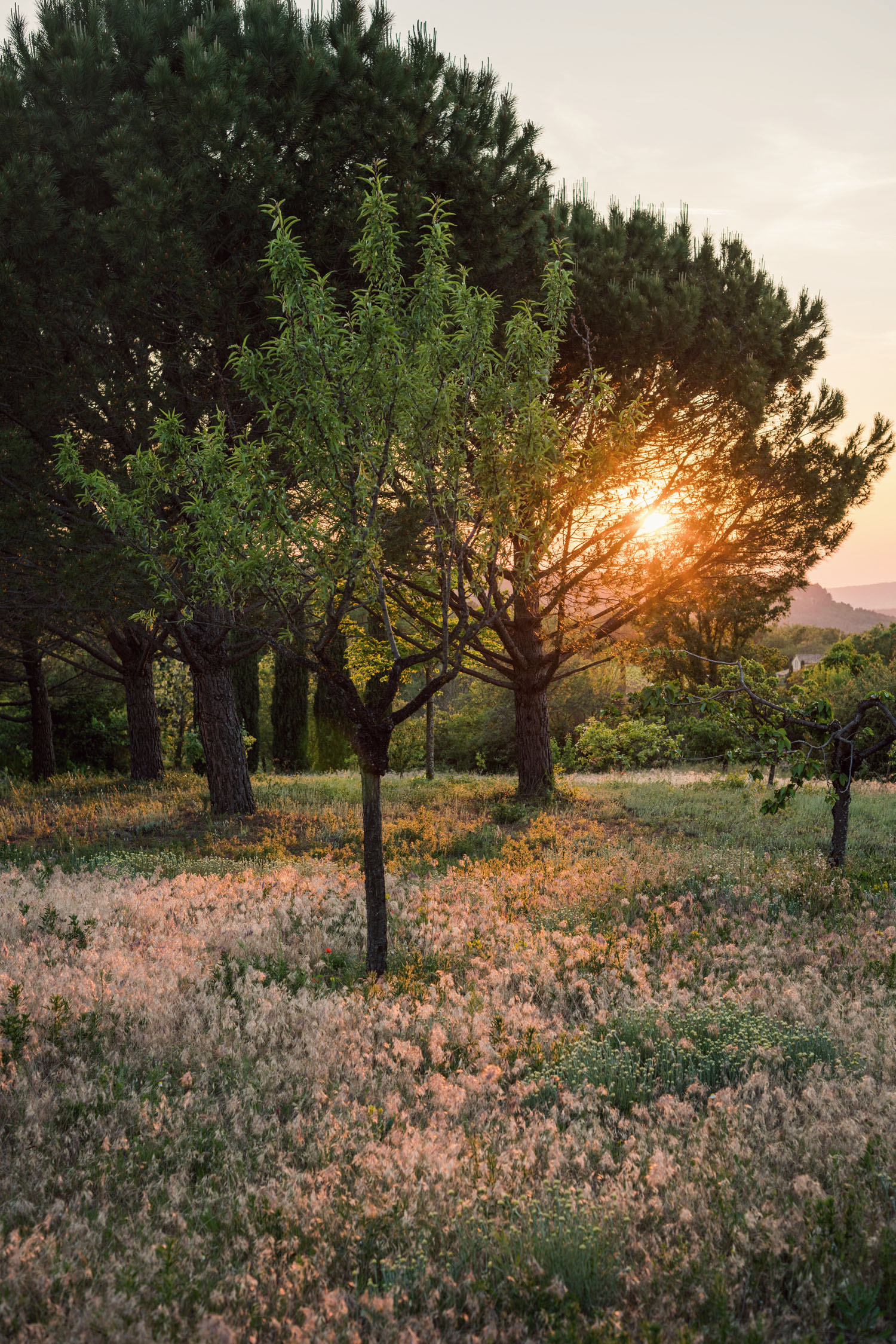 Snapshots from Provence in the South of France