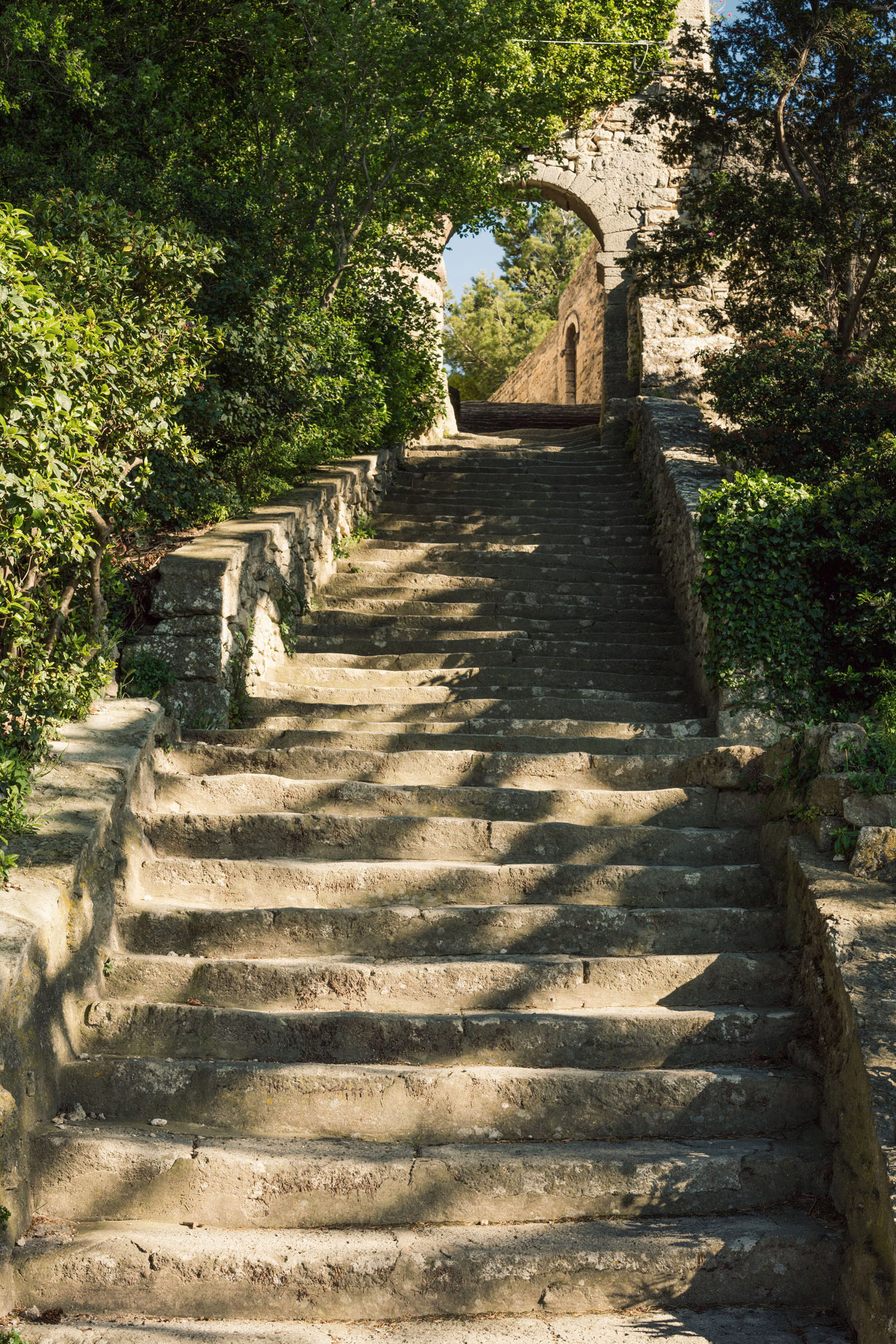 Snapshots from Provence in the South of France