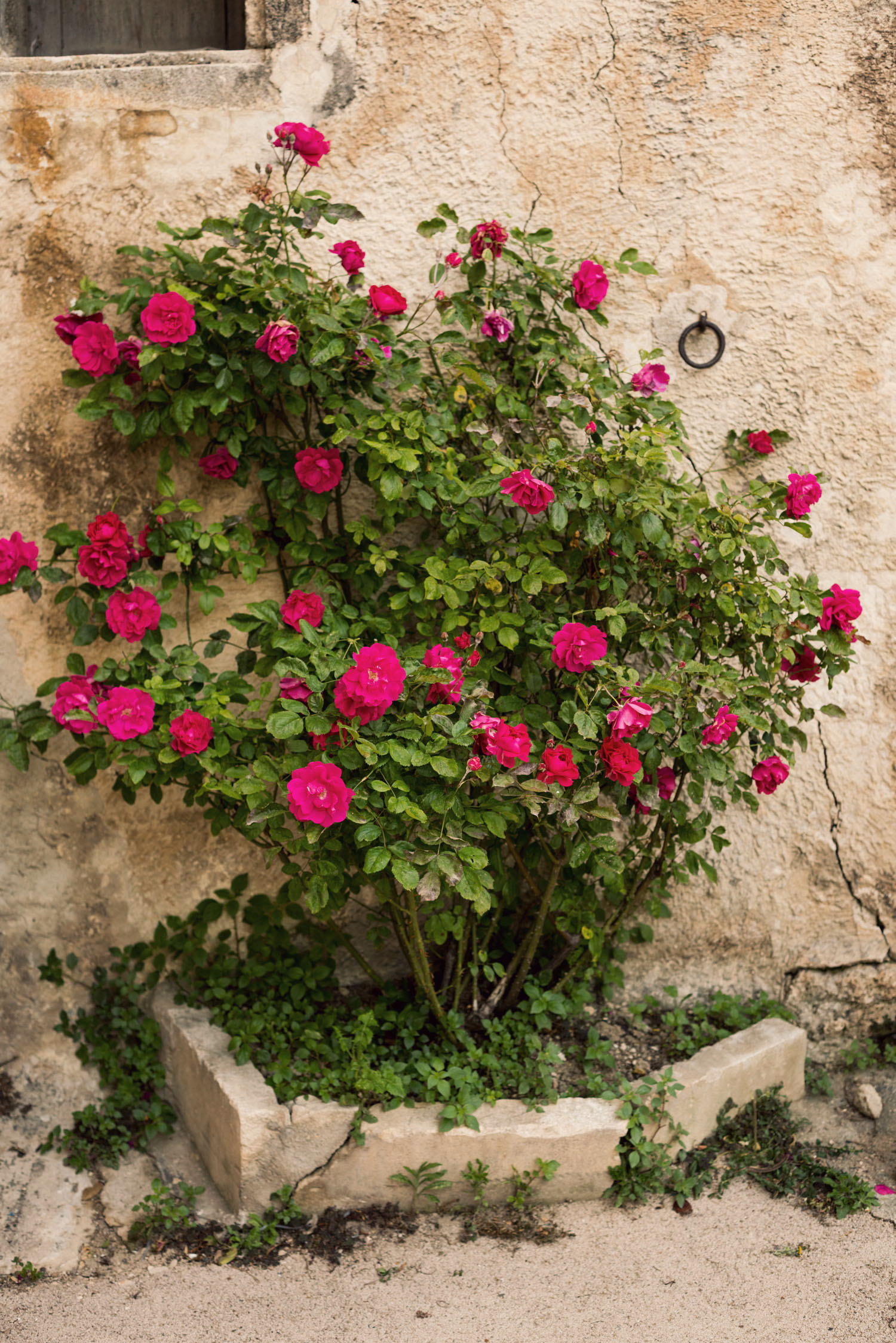 Snapshots from Provence in the South of France